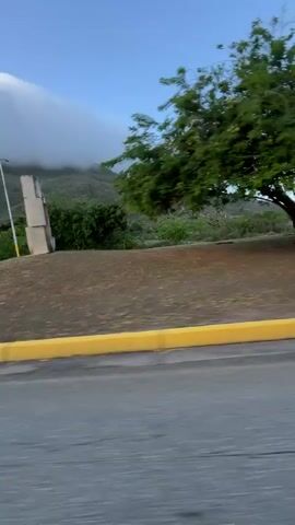 The video shows a landscape with trees and a cloudy mountain in the background, as seen from a moving vehicle. The perspective suggests the video was shot through a car window, with the foreground showing the asphalt road and a yellow curb. The trees are green and leafy, with some appearing to be swayed by the wind. The sky is blue with scattered clouds, and the mountain is partially obscured by a large, horizontally oriented cloud bank. The overall scene suggests an outdoor, possibly tropical or subtropical, environment. There are no people or distinct objects visible beyond the natural landscape and infrastructure elements. The motion of the vehicle creates a blurred effect, particularly on the trees.