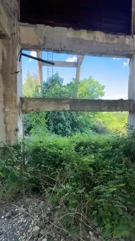 The video shows the interior of a decaying concrete structure, likely an abandoned industrial building or tower.  The camera is positioned low, looking upwards through large, open rectangular window-like openings in the concrete walls. These openings reveal lush green foliage and trees outside, suggesting the building is overgrown.  The concrete structure itself appears weathered and damaged, with exposed rebar and peeling paint.  Through the upper openings, the sky is visible, indicating the structure is open to the elements.  In one of the upper openings, a metal ladder is visible ascending the interior wall. The overall impression is one of decay and nature reclaiming a man-made structure.