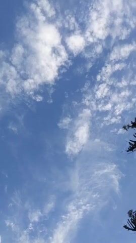 A low-angle shot pans across a bright blue sky dotted with small, white clouds. The sparse branches of two trees are silhouetted against the sky in the bottom and right corners of the frame. The camera angle shifts, showcasing the pattern of the clouds.