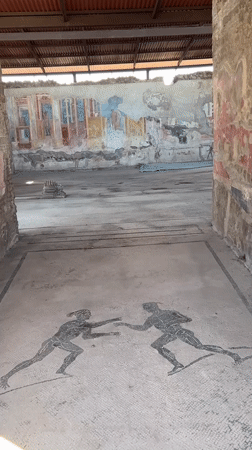 Tourist captures ancient mosaics and frescoes at Pompeii ruins