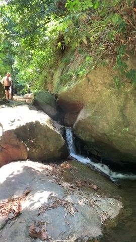 The video shows a small stream flowing between rocks in a forest. The water is clear enough to see the bottom in some places. The surroundings are lush with trees and foliage. The camera moves slightly, showing different angles of the stream and its surroundings. There is also someone in the scene but very briefly and in the background.
