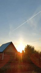 Rural sunset moment captured with dandelions in Ольховка, Russia