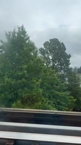The video shows a view from a train window looking out at a body of water and trees. The sky is overcast and appears to be raining. In the foreground, there are train tracks. In the middle ground, there are trees and a river or lake. In the background, there is a bridge and more trees. The video pans slowly to the right, showing different sections of the landscape.