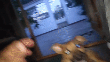 Dog jumps and barks near playground in Tinaquillo, Venezuela