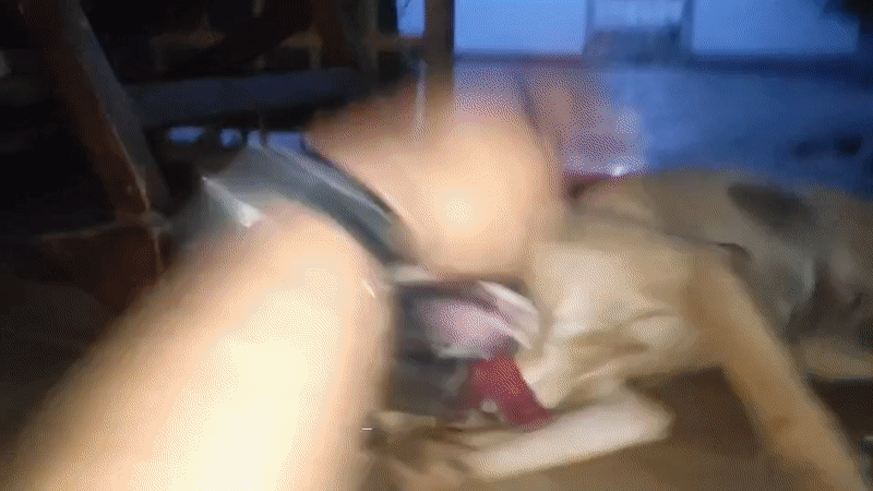 Dog jumps and barks near playground in Tinaquillo, Venezuela