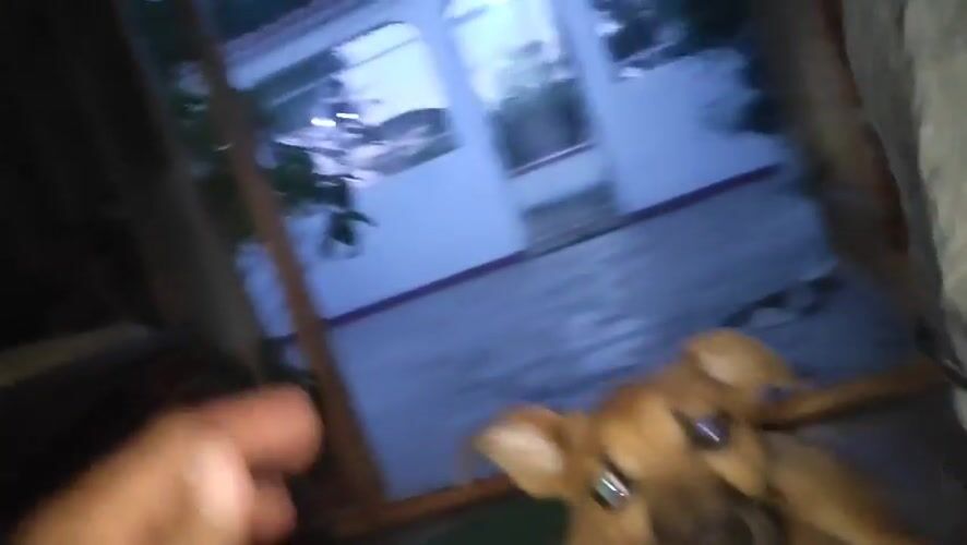 Dog jumps and barks near playground in Tinaquillo, Venezuela