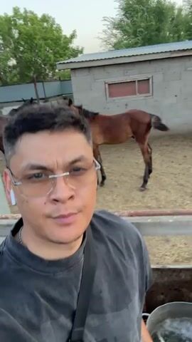 The video begins with a close-up selfie of a man with short dark hair and glasses. He is wearing a dark t-shirt and has white earbuds in. Behind him, in a sandy enclosure, are several horses. A brown foal stands prominently in the center, facing forward. To the left, other horses, appear to be darker in color, are visible. In the background, there is a simple, light-colored building with a metal roof and a window. The environment appears to be an outdoor farm or stable. The man looks at the camera and opens his mouth as if to speak, then closes it. The camera then pans slightly, showing more of the enclosure and the horses. The foal in the center shifts its weight. The video continues with a close-up of the man's face, his expression neutral as he looks into the camera. He blinks and subtly shifts his head. The background remains the same, with the horses and the building. He then exhales, his cheeks puffing out slightly. The video ends with another shot of the man's face, his eyes looking directly at the camera.