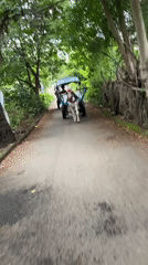 Traditional horse carriages operate along Indonesian beachside roads