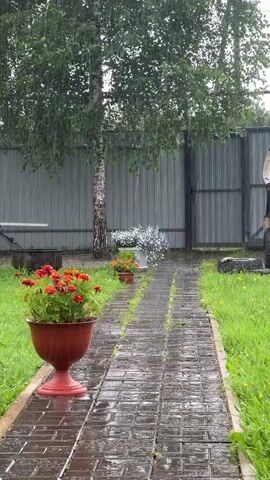 This is a vertical, medium shot video of a garden path on a rainy day. The path is made of red-brown brick pavers that are wet and glistening from the rain. On the left side of the path, in the foreground, is a large, terracotta-colored planter filled with bright orange and red flowers. Further down the path, to the left, are two smaller planters, one with orange flowers and another with small white flowers. To the right of the path, green grass is visible, and further back is a grey metal fence. A slender birch tree with green leaves stands in the middle ground. Raindrops are visible falling throughout the scene. The overall atmosphere is damp and cool.