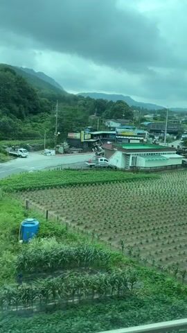 The video captures a view from a moving vehicle, likely a train, looking out at a rural landscape. In the foreground, a vast field of young green plants is visible, planted in neat rows. To the right of this field, another field of vibrant green, possibly rice paddies, stretches further back. In the middle ground, there are several buildings, including a white structure with a green roof, possibly a greenhouse or agricultural building, and other smaller houses and structures that appear to be part of a village. Beyond the village, rolling hills covered in trees and vegetation form the backdrop, and in the distance, mountains rise up under a cloudy sky. Several vehicles, including trucks and what appear to be agricultural machinery, are parked near the buildings. The overall impression is of a tranquil, agricultural area under an overcast sky.