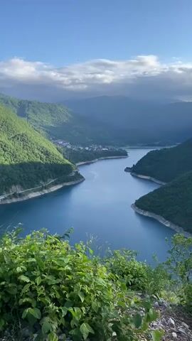 The video presents a stunning panoramic view of a large, deep blue lake winding through a verdant mountainous landscape. The camera slowly pans from left to right, showcasing the vast expanse of the natural scenery.

In the immediate foreground, lush green bushes with small leaves frame the bottom of the shot, indicating an elevated viewpoint overlooking the valley. The lake, with its strikingly calm and clear blue waters, gracefully snakes between towering mountains that rise steeply from its banks. Visible water lines along the lake's edges suggest fluctuating water levels, typical of a reservoir.

The mountains are densely covered in vibrant green foliage, indicating extensive forestation. Shadows cast by clouds and the undulating terrain add depth and texture to the mountain slopes. On the distant left bank of the lake, a small settlement or village with several buildings is visible, subtly integrating human presence into the otherwise pristine natural environment.

The sky above is a clear, bright blue, adorned with scattered white and soft grey clouds, suggesting pleasant weather conditions. The lighting is soft and diffused, characteristic of daytime, possibly late afternoon or early morning, illuminating the scene beautifully.

Accompanying the visuals is a faint rustling sound, potentially from wind or the camera operator's movement, and a male voice speaking in a foreign language, though the words are indistinct.

The video effectively captures the serene and majestic beauty of what appears to be the Piva Lake and its surrounding canyons in Plužine, Montenegro, evoking a sense of peaceful grandeur and natural splendor.