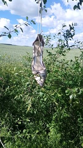 The video captures a single light-colored high-heeled shoe, possibly beige or off-white, suspended outdoors against a natural backdrop. The shoe has a pointed toe and features straps or lacing around the ankle area, which is how it appears to be hanging. Decorative elements, possibly rhinestones or a small metallic buckle, adorn the front vamp of the shoe. Inside the shoe, the brand name "CALVIN KLEIN" is clearly visible on the insole.

The immediate surroundings consist of vibrant green bushes and leafy branches, suggesting the shoe is hanging from foliage. Beyond this greenery, a wide expanse of a green field stretches into the distance, meeting a bright blue sky with scattered white clouds on the horizon. The scene is brightly lit by daylight, indicating a sunny day. The shoe sways gently, hinting at the presence of a light breeze. The perspective is from a low angle, looking upwards towards the shoe and the open landscape. The setting suggests a rural or natural outdoor environment in Razvigorovo, Bulgaria.