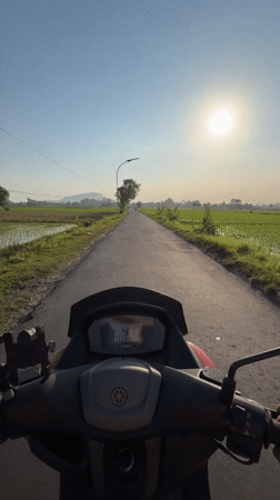 Motorbike ride through rice paddy country in rural Jatisari