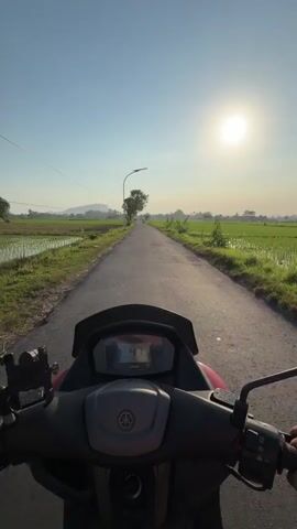 A first-person perspective video shows a motorcycle rider traveling down a paved road through a rural landscape. The sun is high in the sky, casting a bright glow. On either side of the road are vibrant green rice paddies. The motorcycle's digital dashboard displays a speed of 49-51 km/h. In the distance, another motorcycle rider can be seen ahead. A tall street lamp and a lone tree stand near the side of the road. The overall scene depicts a peaceful, sunny journey through the countryside.