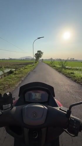 Motorbike ride through rice paddy country in rural Jatisari