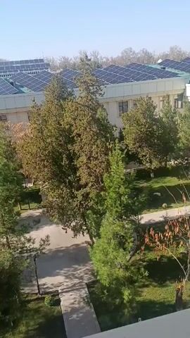 From an elevated position, the video presents an external view of a building topped with numerous solar panels. Below, a landscaped area features trees of varying sizes and greenery, along with pathways and lighting fixtures. The video is filmed during daylight hours.