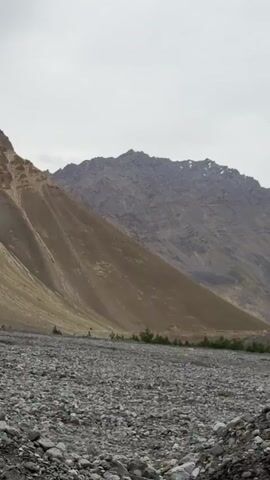 The video begins with a view of a rocky riverbed in the foreground, with sparse trees lining the middle ground. In the background, a large, rugged mountain range dominates the scene. The mountains are predominantly earthy brown and gray, with patches of snow visible on the peaks. A winding path or road can be seen traversing the lower slopes of the mountain. As the video progresses, the camera pans slightly, revealing more of the mountainous terrain and the sky, which is overcast with gray clouds. Several small white structures, possibly buildings or stupas, are perched on a rocky outcrop on one of the mountainsides. The overall impression is a vast, desolate, and mountainous landscape.
