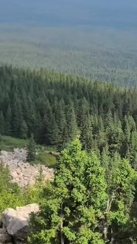 The video captures a scenic view of a rocky, mountainous landscape, likely in Ziuratkul', Russia. The terrain is characterized by large boulders, scattered vegetation, and a dense forest of evergreen trees covering the slopes. In the distance, the forest extends up the mountains, suggesting a wilderness area.

The camera pans across the scene, focusing on the textures of the rocks and the lush greenery. At one point, the camera moves closer to the ground, revealing small patches of grass growing between the rocks. The lighting suggests it is daytime, with sunlight illuminating the scene and casting shadows. The overall mood is peaceful and natural, highlighting the rugged beauty of the mountainous environment. No people or specific objects are prominently featured, and there is no visible text in the media.