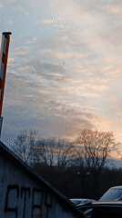 Birds fill colorful sky; purple screen displays text message