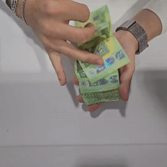 Large cash counting operation documented in Sofia morning hours