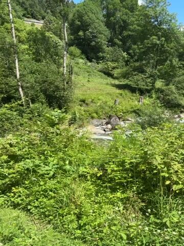 This media file captures a scenic view of a mountainous landscape in Ratschings - Racines, Italy. The scene is dominated by lush greenery, including dense forests of trees and thick undergrowth of various plants and flowers. A clear, shallow river flows through the lower part of the frame, its water appearing cool and inviting. The terrain is a mix of steep, wooded slopes and gentler, grassy areas.

A winding dirt path is prominently featured, leading the viewer's eye through the landscape and towards a distant valley. In the background, majestic mountains rise, their peaks softened by distance and the clear blue sky. The sky is dotted with fluffy white clouds, suggesting pleasant weather. A small building or house can be glimpsed nestled among the trees in the middle ground, hinting at human habitation in this natural setting.

The time of day appears to be late morning or early afternoon, given the bright sunlight casting shadows and illuminating the scene. The overall mood is one of tranquility and natural beauty, inviting exploration and appreciation of the alpine environment. There is no visible text in the media file. The activity taking place is not explicit, but the presence of the path suggests it might be a hiking trail or a route for exploration.