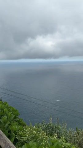 The video presents a coastal landscape under a cloudy sky. The dominant feature is the expansive ocean, its surface reflecting the gray tones of the sky. To the right, the coastline is revealed, marked by rocky cliffs and a narrow, dark beach. Green vegetation lines the cliff's edge, contrasting with the dark sea. In the foreground, some plants grow in the foreground. The horizon is somewhat blurred due to the overcast conditions. The overall atmosphere is subdued and slightly hazy. A few thin cables run across the view of the ocean.