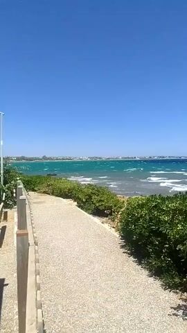 The video shows a scenic view of the ocean on a clear, sunny day. A pathway made of gravel runs along the edge of the vegetation, leading the viewer's eye towards the sea. The water is a vibrant turquoise, with white waves crashing against the shore. The sky is a brilliant blue, devoid of clouds. The vegetation along the path is lush and green, providing a contrast to the sandy path and the sea. In the distance, a coastline with buildings can be seen. The overall impression is one of a peaceful and beautiful coastal landscape.