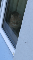 Early morning life captured across Chaikovsky, Russia