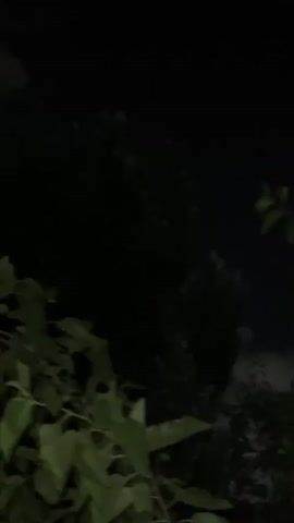 This video shows a close-up of tree branches and leaves against a dark, night sky. The camera is handheld and appears to be moving slightly, causing the leaves to blur in some frames. The overall impression is one of being outdoors at night, possibly in a garden or wooded area. The dark sky suggests it is nighttime, and the lack of strong light indicates no artificial lights are nearby. The leaves are green and appear healthy. There is no text visible in the video. The scene is static, with only the slight movement of the camera and the natural sway of the branches. No people or animals are visible.