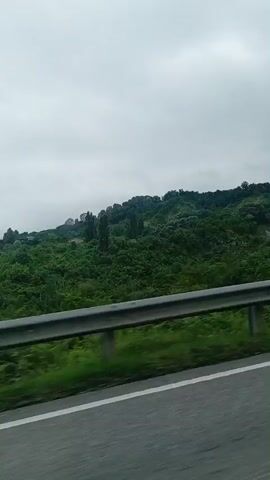 A wide shot captures a view of rolling green hills covered in dense foliage under a cloudy, overcast sky. In the foreground, a silver metal guardrail runs horizontally across the frame, with a road visible below it. The camera appears to be moving, as the scenery shifts slightly. A few scattered houses or buildings are visible on the hillsides, nestled within the trees. The overall impression is one of a natural, somewhat rural landscape on a gray day.