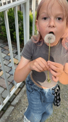 Casual afternoon snapshots across outdoor and home settings