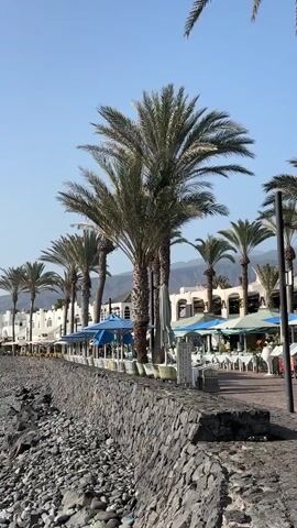 A POV video shows a stone-lined coastline with a rocky beach and the ocean on the left. Palm trees line the shore, behind which are buildings with awnings and outdoor seating for restaurants. The sky is clear and blue, and mountains are visible in the distance. The waves are gently lapping at the shore.