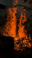 Summer afternoon activities and controlled burning in Udelnaya