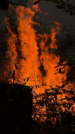 Summer afternoon activities and controlled burning in Udelnaya