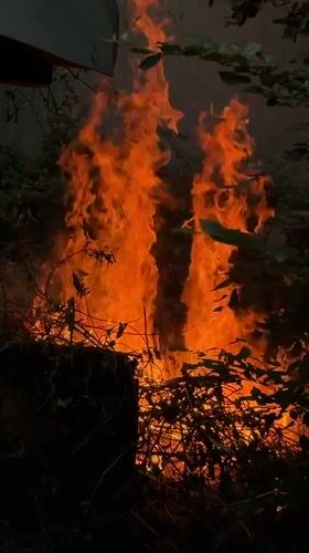 Summer afternoon activities and controlled burning in Udelnaya