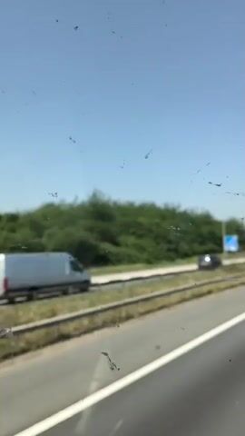The video shows a view from inside a vehicle traveling on a highway. The highway has multiple lanes and a central divider with a metal railing. Trees and greenery line the side of the road, with some overpasses visible in the distance. The sky is clear and blue, suggesting a sunny day.

A white and grey van is driving on the highway. Further down the road, other vehicles are visible, including a dark-colored car and what appears to be another van. On the right side of the highway, a blue and white sign is mounted on a pole.

Towards the end of the clip, an airplane with red markings on its tail is seen flying across the sky, descending towards what might be an airport. The presence of an airplane and highway infrastructure suggests a location near an airport and major transportation routes. The video is shot from a slightly dirty windshield, which shows as specks and smudges in the foreground. The time of day appears to be daytime, given the bright sunlight and clear sky. There are no people clearly visible in the video, but the activity of driving on a highway implies the presence of drivers and passengers. The overall mood is neutral, depicting a common travel scene. There is no visible text in the clip.