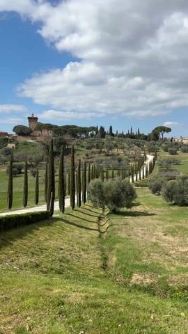 The camera faces a scenic view of the Tuscan countryside with a road lined by tall, slender cypress trees leading up to a structure atop a hill in the distance. The sky is blue with scattered fluffy white clouds, casting shadows on the rolling green hills. The road is white and curves gently towards the building, which appears to be a historic tower or villa. Olive trees are interspersed among the cypress trees and on the surrounding hills. The foreground consists of a grassy field with a ditch or shallow depression running parallel to the road. The scene is still, suggesting a peaceful, rural setting.