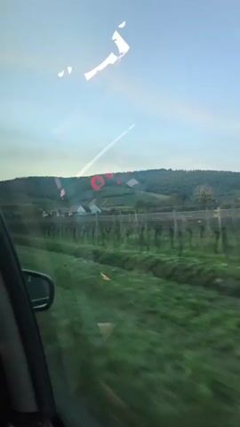 The video shows a view from a moving vehicle. Outside the window, there is a vineyard with rows of bare vines and a green grassy area below. In the background, there are hills covered with trees. The sky is blue and slightly overcast. The car’s side mirror is visible in the lower left corner. There are some reflections on the window.