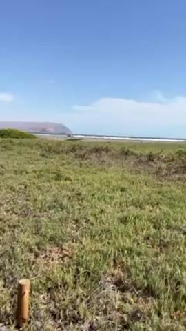 The video shows a person walking along a dirt path. The path is lined with short wooden posts and a rope barrier. The path is surrounded by grassy vegetation. In the distance, there is a beach and some mountains. The sky is blue with a few clouds.