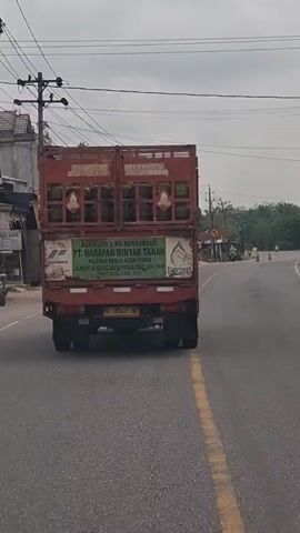 A red truck with a caged back is driving on a paved road. The truck is loaded with green LPG cylinders. The side of the truck has a sign that reads "AGEN LPG 3 KG BERSUBSIDI PT. HARAPAN MINYAK TANAH". There are power lines and some trees in the background. The sky is overcast.