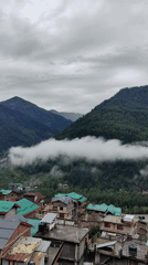 Fog rolls through forested Himalayan slopes above Vashisht