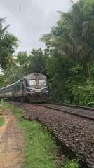 Early morning train activity recorded in rural Kabalana, Sri Lanka