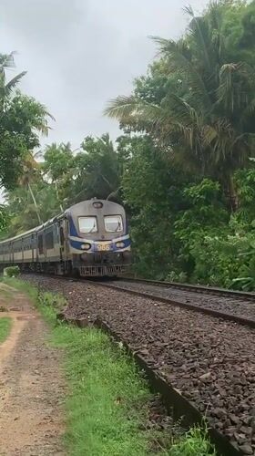 Early morning train activity recorded in rural Kabalana, Sri Lanka