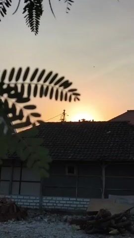 A vertical video shows a sunset behind a dark-tiled roof of a building. In the foreground, blurred leaves of a tree are visible on the left side. The sky is a gradient of orange and light yellow, with the sun appearing as a bright orb partially obscured by the roof. A small, dark object, possibly a bird, is visible in the sky. The building has a brick foundation and its walls are a combination of wood and possibly a mesh material. Some construction materials, including bricks and logs, are scattered on the ground in front of the building. The overall scene depicts a rural or semi-rural setting during dusk.