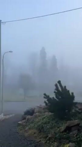 The video starts with a wide shot of a misty, overcast scene. The foreground includes a landscaped area with various plants and rocks. A road is visible in the middle ground, and beyond that are trees obscured by heavy fog. A lamppost stands on the left. The camera then moves downwards, showing a person walking on a gravel path. The person is wearing black leggings and white shoes. The camera continues to move, showing the ground, vegetation, and then returns to a similar view of the misty landscape, this time with a small structure with a grey roof visible to the right.