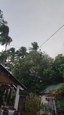 A low-angle video captures a cloudy sky with some trees and buildings below. The clouds appear dark and stormy, with some areas of lighter gray and white. The trees are lush and green, with some palms visible. There are several small buildings with green roofs, and some of them have vines growing on them. Overhead, power lines are strung across the sky, with a few light bulbs hanging from them. In the distance, two tall cell towers rise above the trees. The scene appears to be outdoors, possibly in a rural or suburban area.