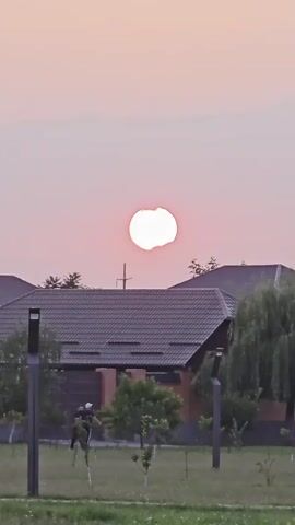 A person is jogging on a grassy area in front of two houses. The sun is partially obscured by clouds and appears orange and pink in the sky. The houses have dark tiled roofs and one has a brown fence. There are trees and streetlights visible. The video is in portrait orientation.