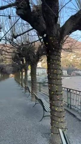 The video shows a lakeside path with trimmed trees, wrapped in string lights, lining the walkway. Benches are placed beneath the trees. The path is gravel. A black metal railing separates the path from a body of water, which has small waves. Across the lake, there is a hillside covered with buildings and distant mountains in the background. The sky is blue.
