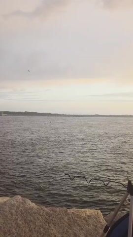 A video taken from a fixed position shows a vast body of water, likely a sea or large lake, under a cloudy sky. The water is rippled, suggesting a gentle breeze. The horizon line is visible in the distance, with a faint landmass or coastline. In the foreground, large rocks form a rough surface. Two fishing rods are set up on a tripod, one of which is clearly visible. A single bird is seen flying in the sky. The lighting suggests it is either dawn or dusk. The camera is static and the viewpoint is focused on the water and the sky.