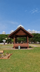 Morning glimpses of daily life captured across Lhokseumawe, Indonesia